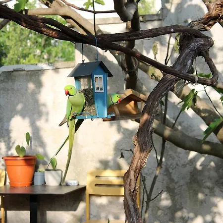 منزل للإقامة La Petite Maison Du 93 بانيوليه